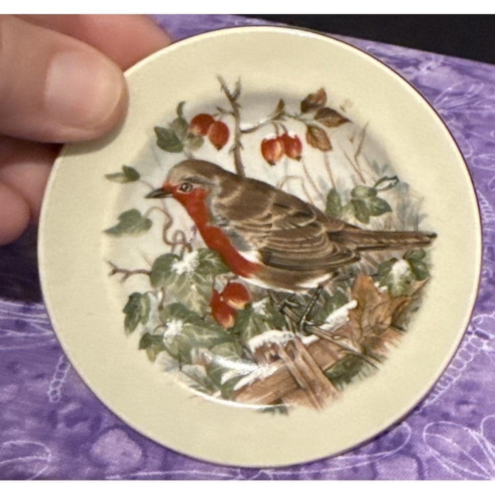 Royal Worcester Palissy Miniature Robin Bird Plate Trinket Dish 3 Inch